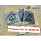 qiqiyg.com Oficjalny WhatsApp: +8618120605182 Nina-Yupoo-Qiqi-320 Kontakt Qiqiyg