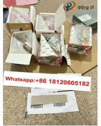 qiqiyg.com Oficjalny WhatsApp: +8618120605182 Nina-Yupoo-Qiqi-360 Kontakt Qiqiyg